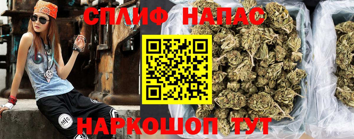 Конопля сатива Сафоново
